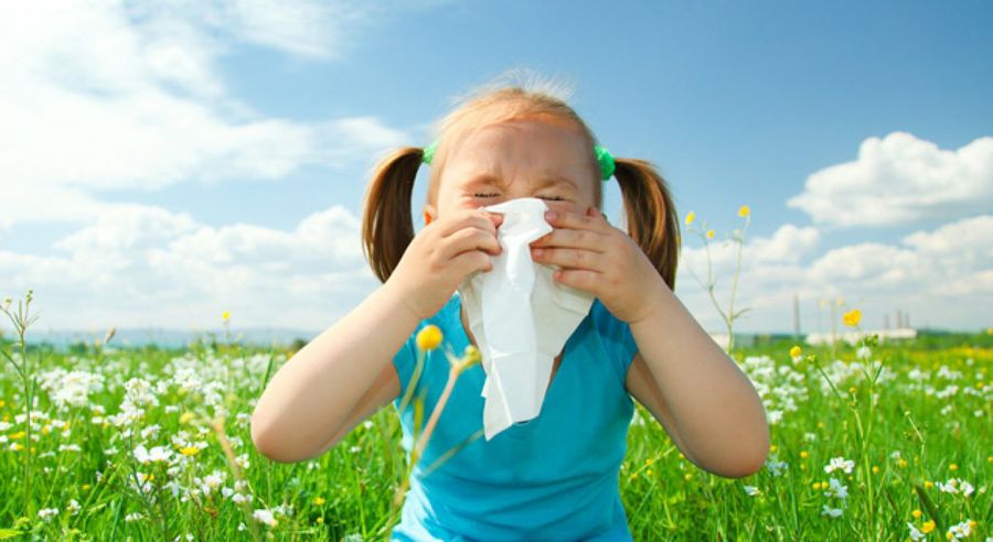 motivos de la alergia